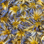 Authentic Egyptian Blue Lotus - Nymphaea Caerulea Dried Flowers (10g/20g)