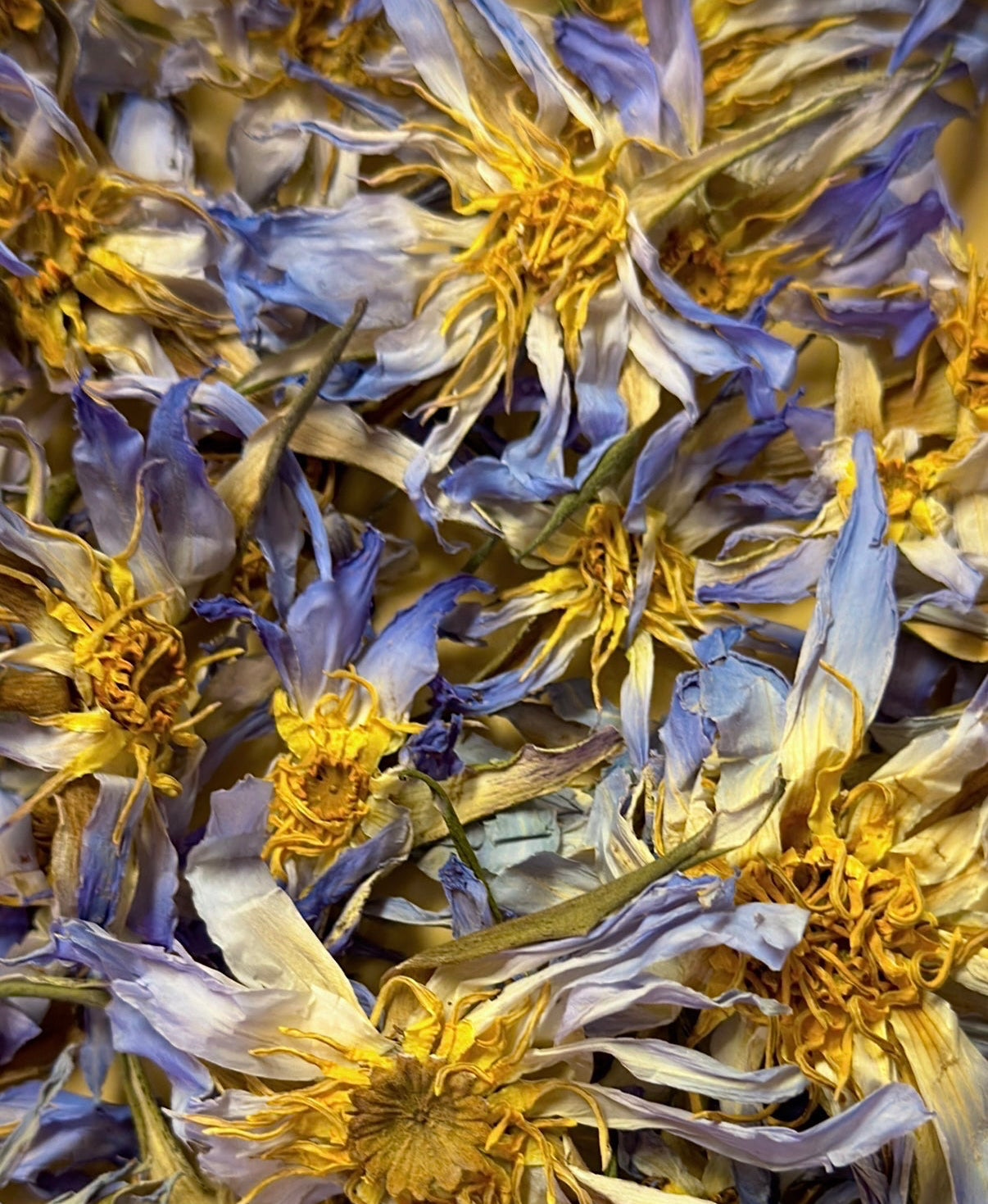 Authentic Egyptian Blue Lotus - Nymphaea Caerulea Dried Flowers (10g/20g)