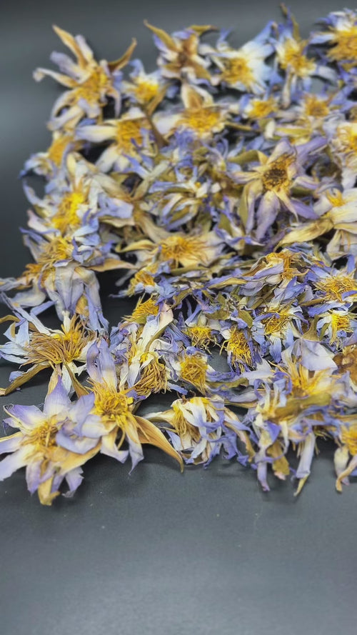 Authentic Egyptian Blue Lotus Nymphaea caerulea premium dried flowers